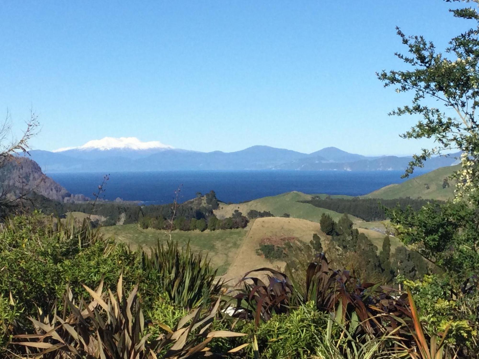Whakaipo Bay Cabin Retreat Lago Taupo Esterno foto